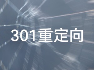 Z-blogPHP 301 перенаправления для двух различных методов, реализованных с помощью кода PHP